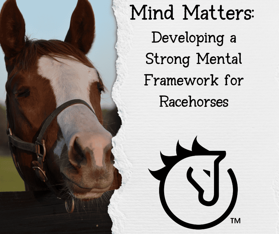 Training Techniques for Racehorses