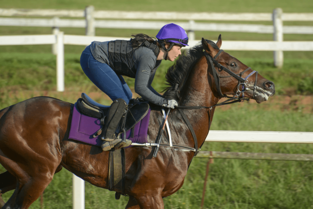 Training Techniques for Racehorses