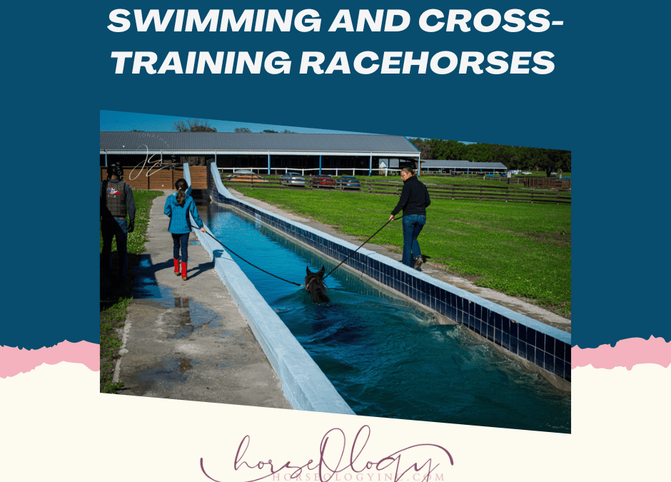 Training Techniques for Racehorses