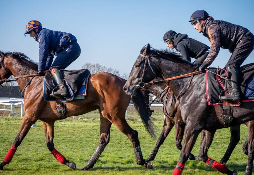 Training Techniques for Racehorses