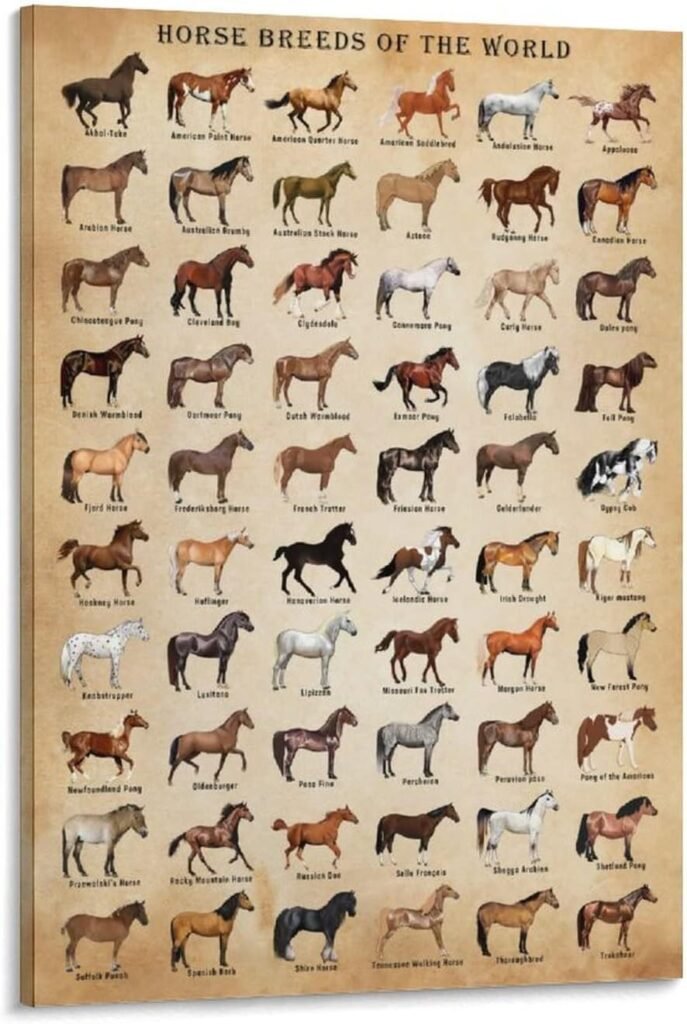 Horse Knowledge Horse Breeds of The World Poster Framed 12x16inch