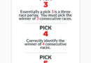 What Is The Best Type Of Bet For Horse Racing?